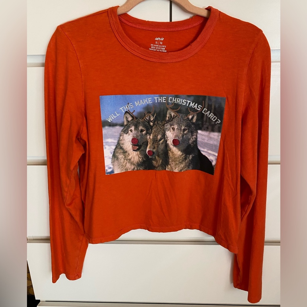 Aerie Graphic Long Sleeve Cropped T Shirt